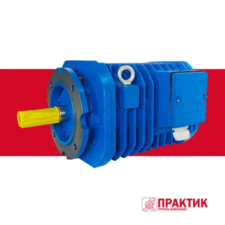Электродвигатель рольганговый APM 74-12